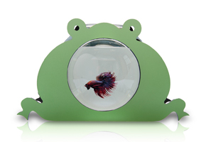 Frog fish bowl for kids